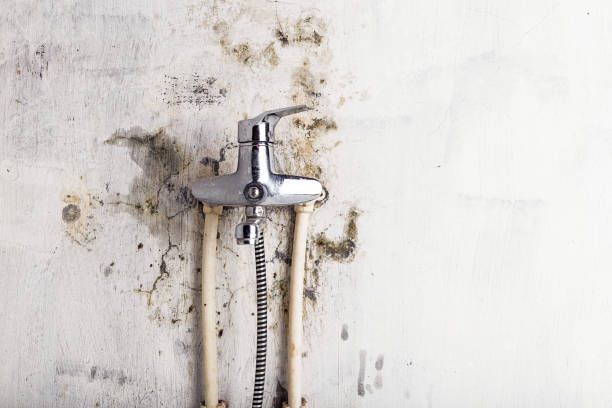 Best Mold Remediation  in Doffing, TX